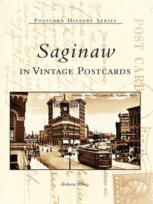 cover image of Saginaw in Vintage Postcards